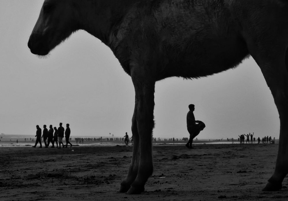 Photograph by JOSEPH GOMES