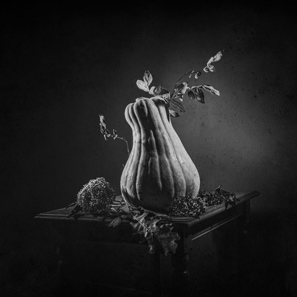 Photograph by Ольга Воронова