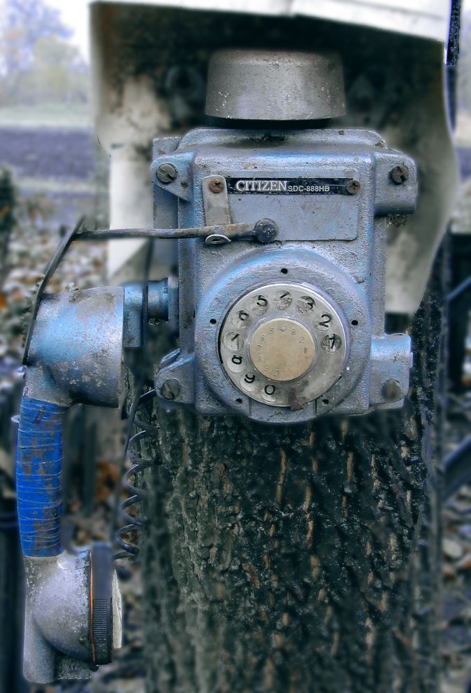 Photograph by Светлана Шмигельская