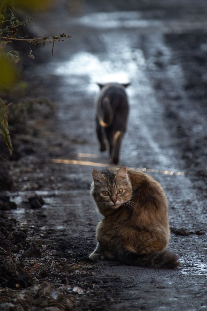Photograph by Татьяна Штунь