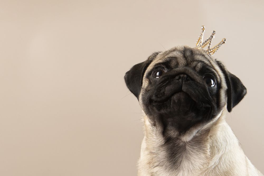 Принцесса Лилу