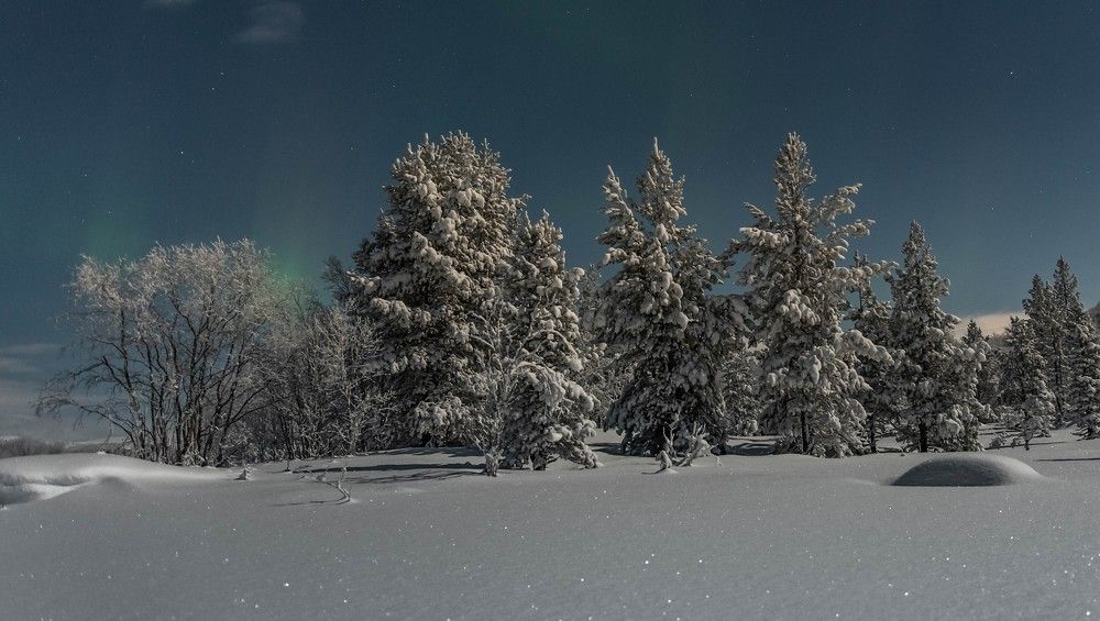 Звезды на снегу
