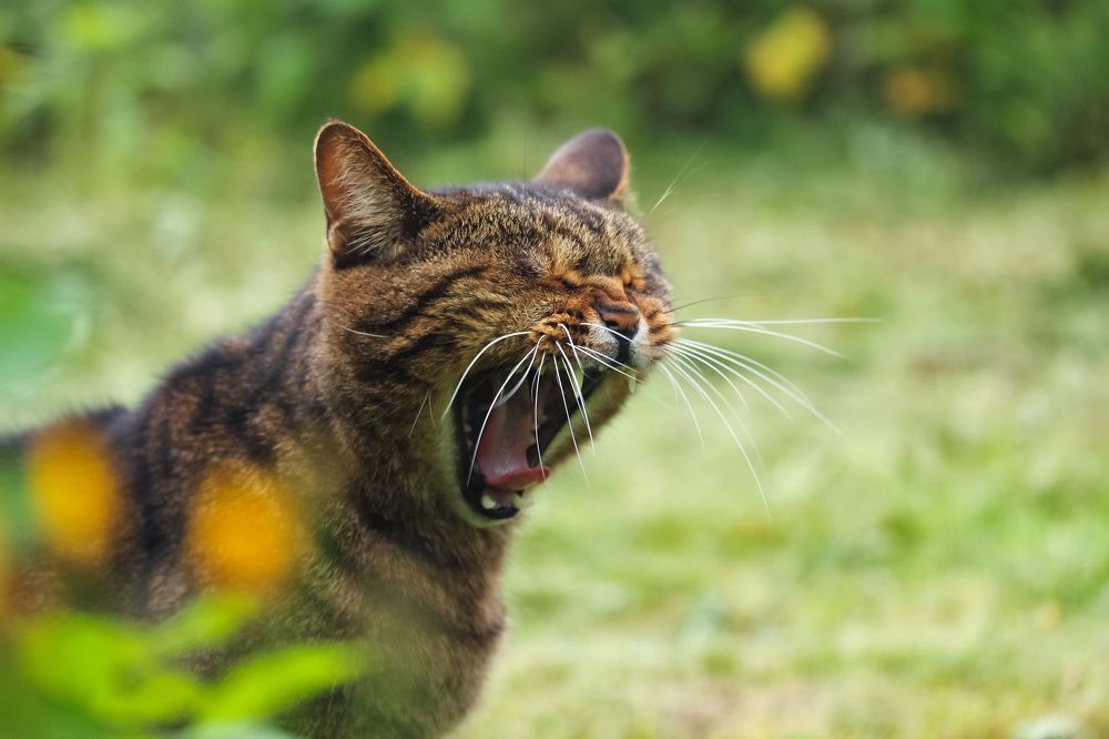 Photograph by Наталья Гайдукевич