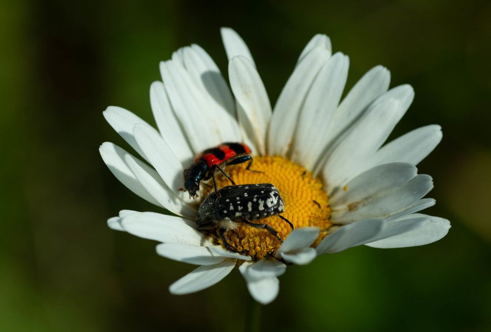Фотография автора Владимир Оликов