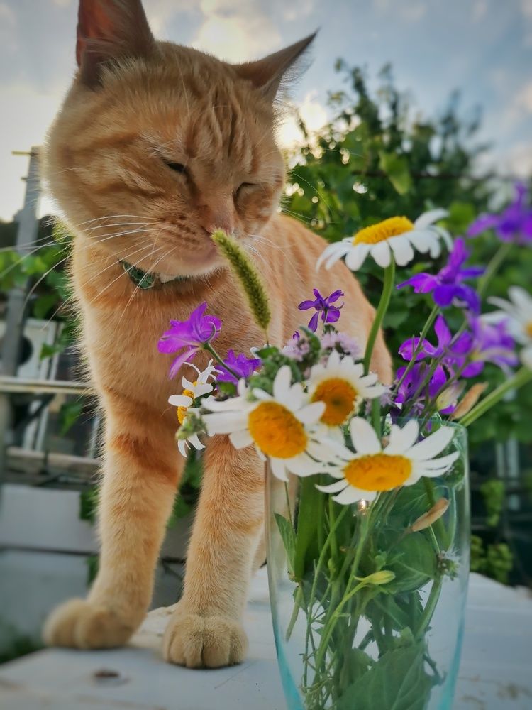 Photograph by Оксана Маракушина