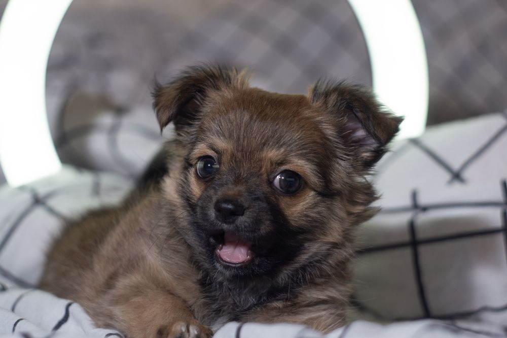 Photograph by Денис Зайков