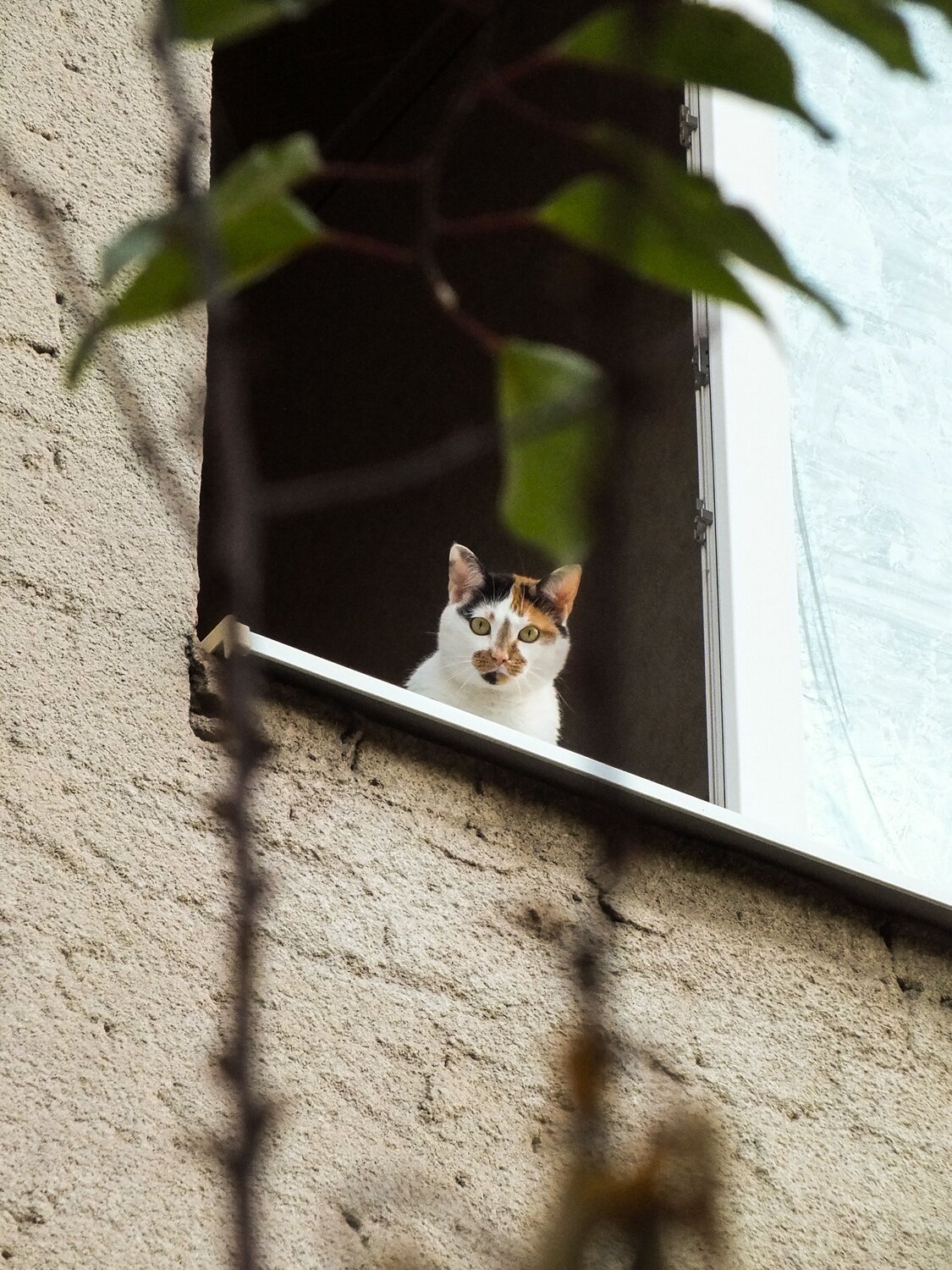 Фотография #9784327