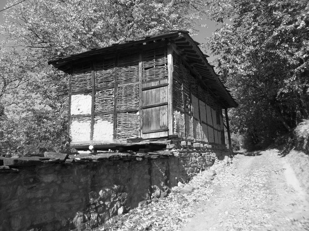 Photograph by Георги Колев