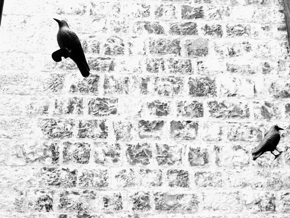 Photograph by Giuseppe Catalano