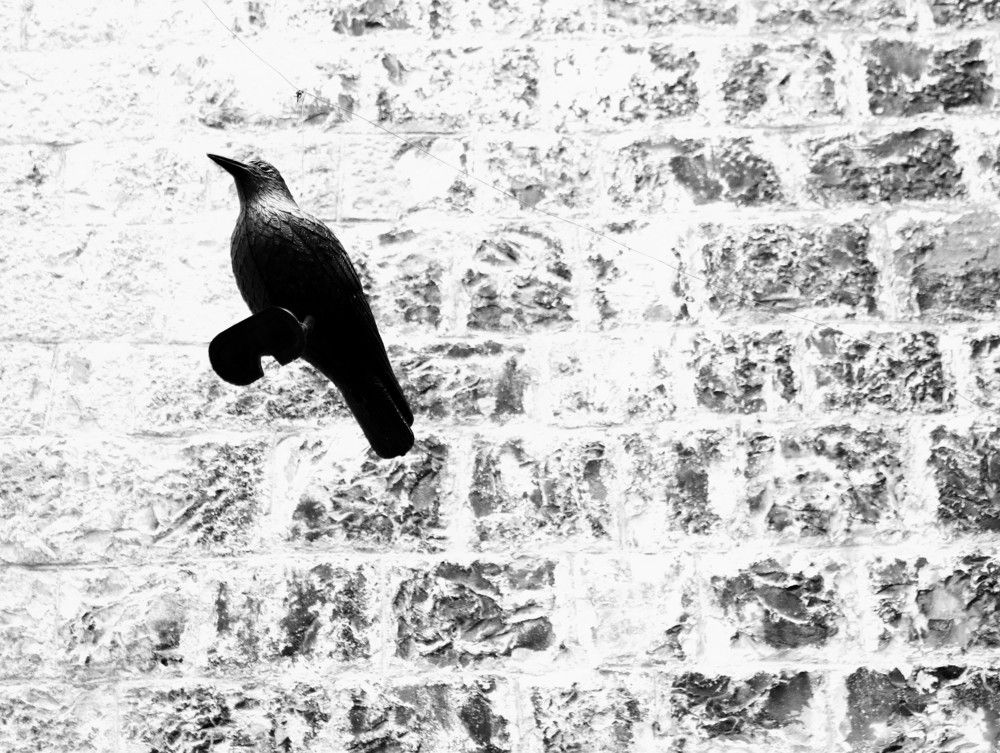 Photograph by Giuseppe Catalano