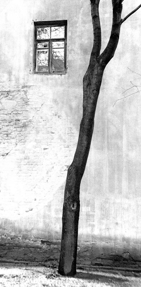 Photograph by Juris Buklovskis