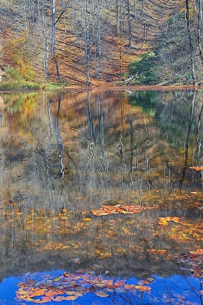 Photograph by Айдын Мехтиев