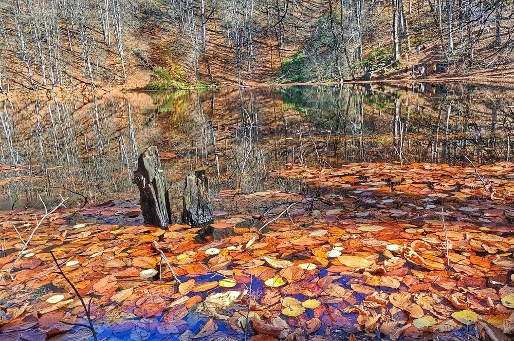 Photograph by Айдын Мехтиев