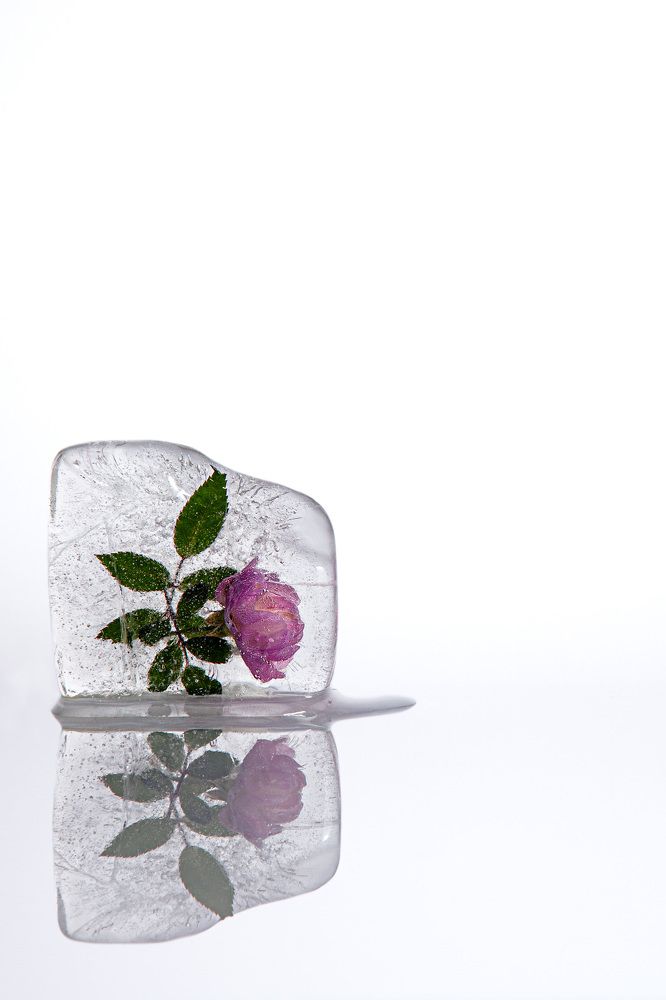 Photograph by Елена Овчинникова