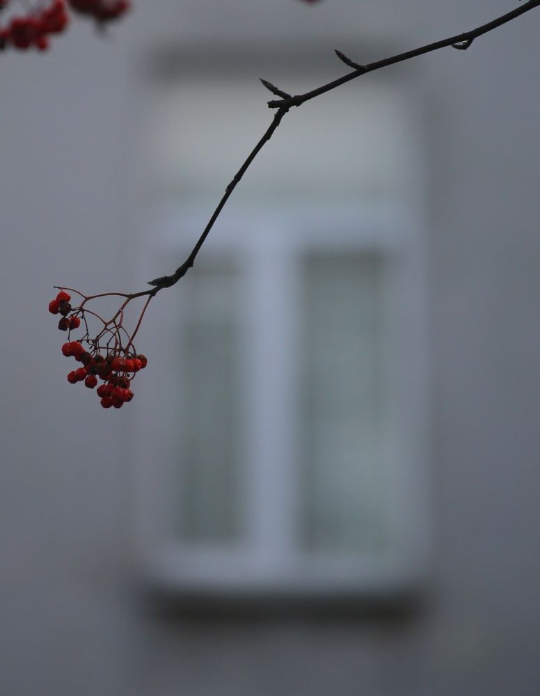 Photograph by Унку Юрий