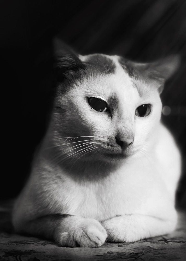 Photograph by Muhammad Faizal Hidayah Putra