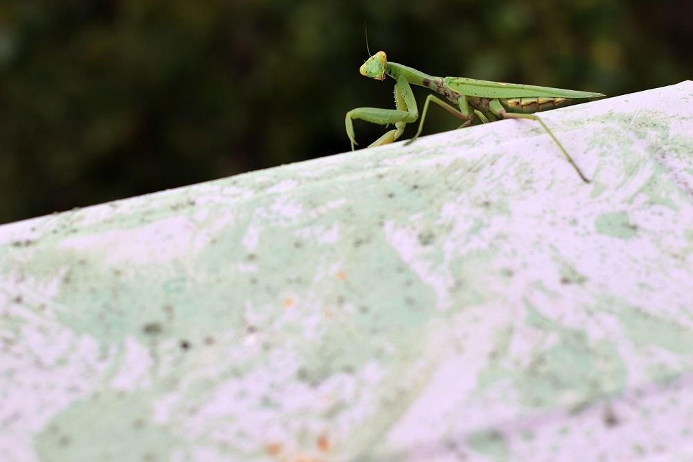 Взгляд на прощанье