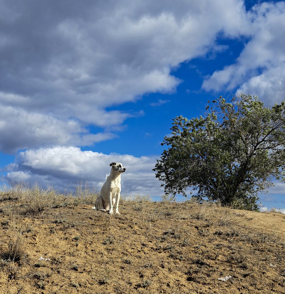 Photograph by Михаил Беляев