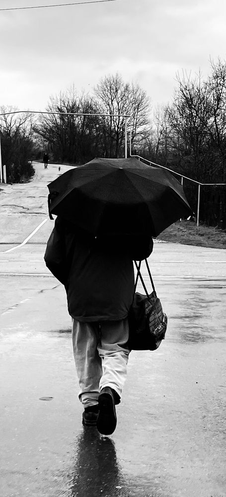 Photograph by Токарева Татьяна