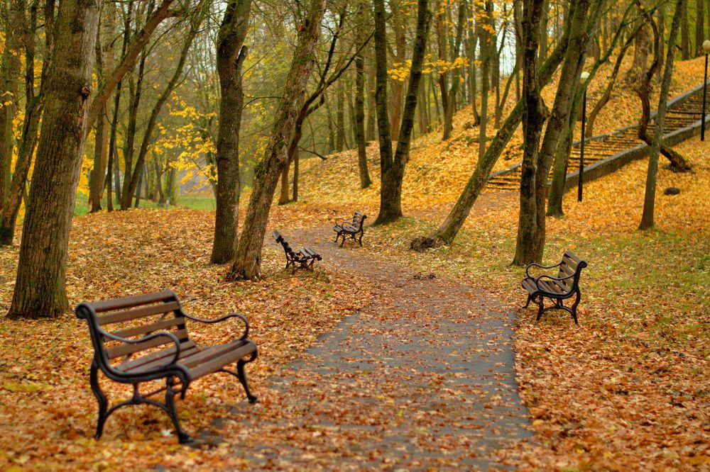 Photograph by Максим Маханов