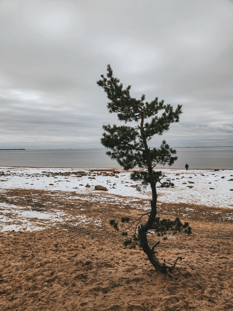 Photograph by Inna Iudina