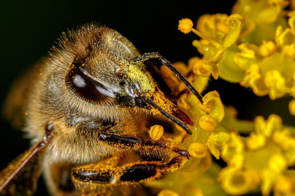 Фотография автора Vasileios Karapanagiotidis