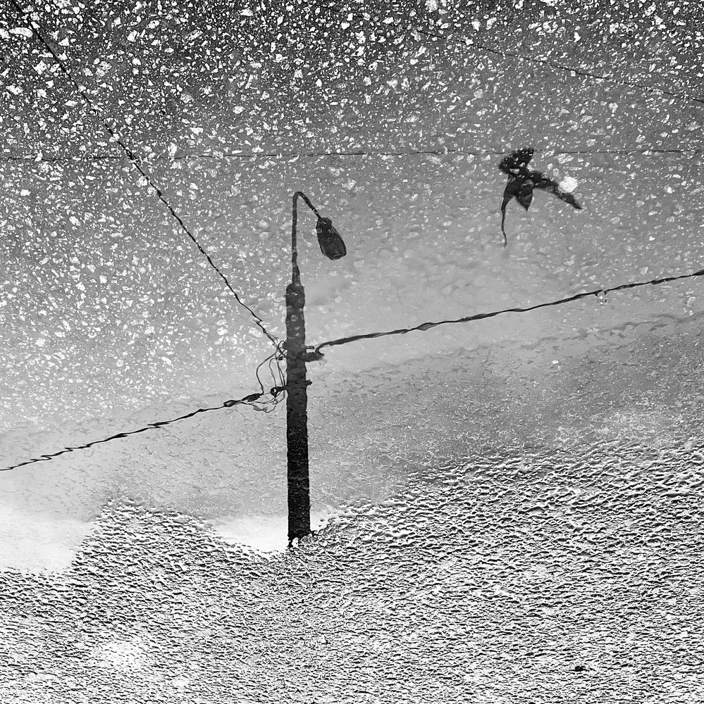 Photograph by Олег Банковский