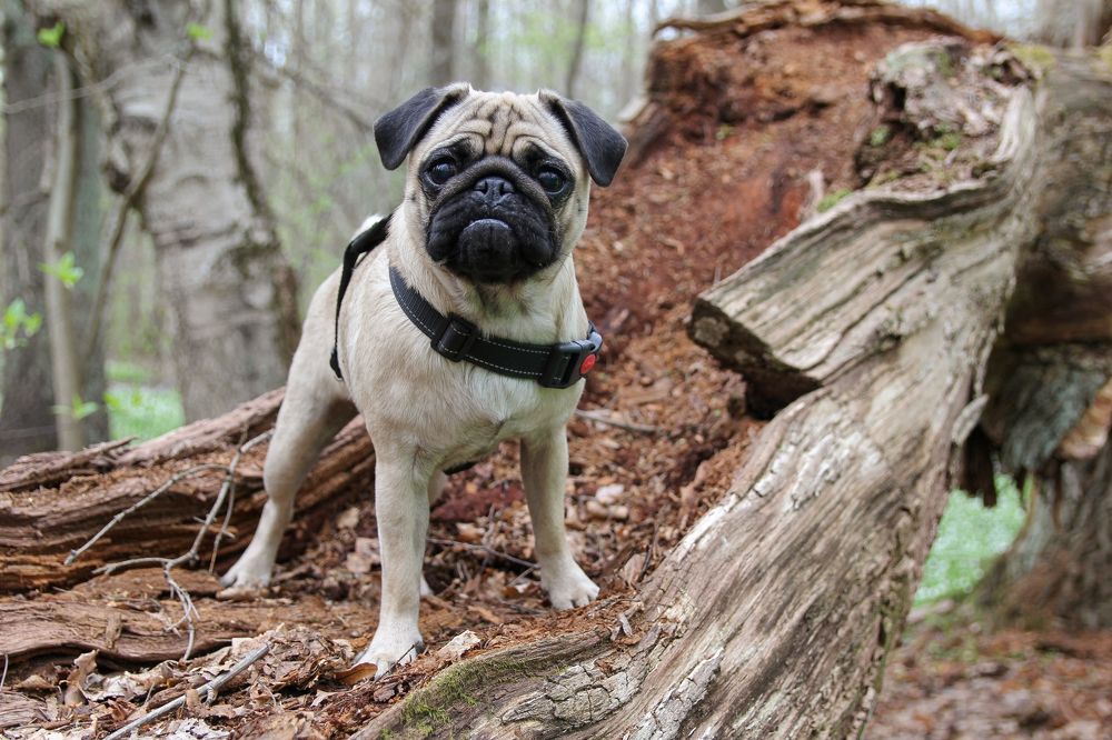 Photograph by Сергей Иванов