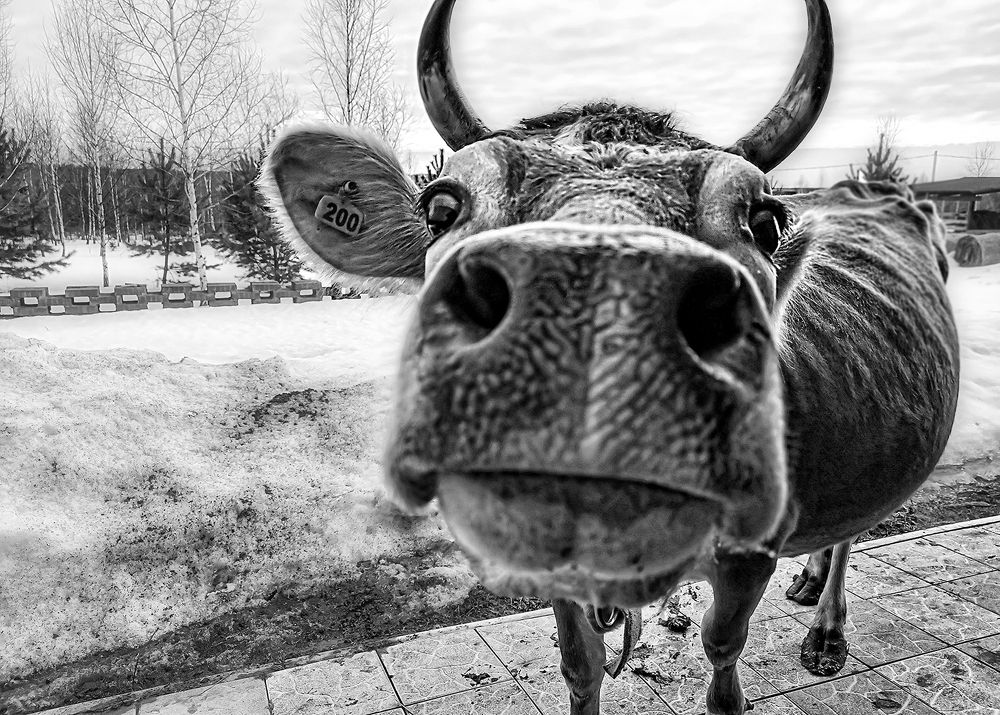 Photograph by Алексей Окунеев