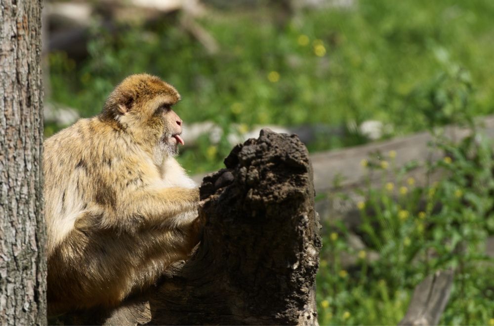 Фотография автора Андрей Неденко