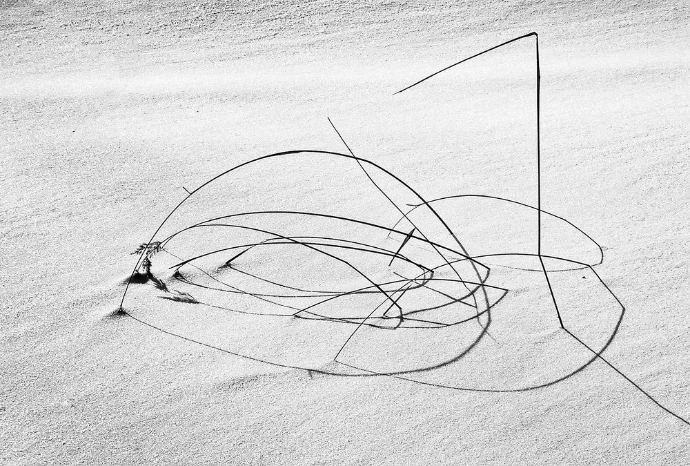 Photograph by Алексей Окунеев