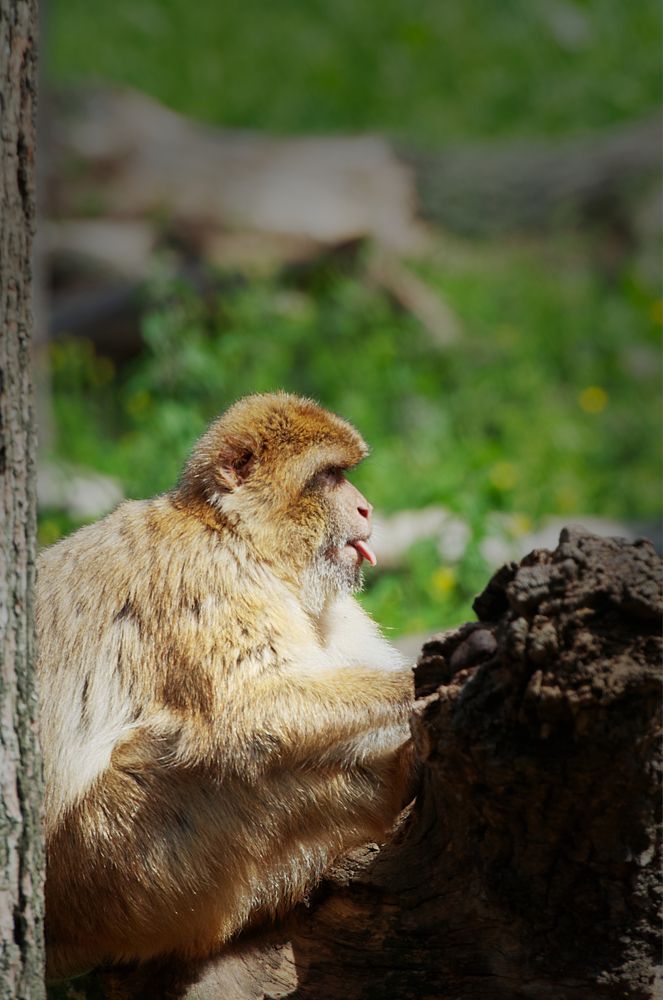 Фотография автора Андрей Неденко