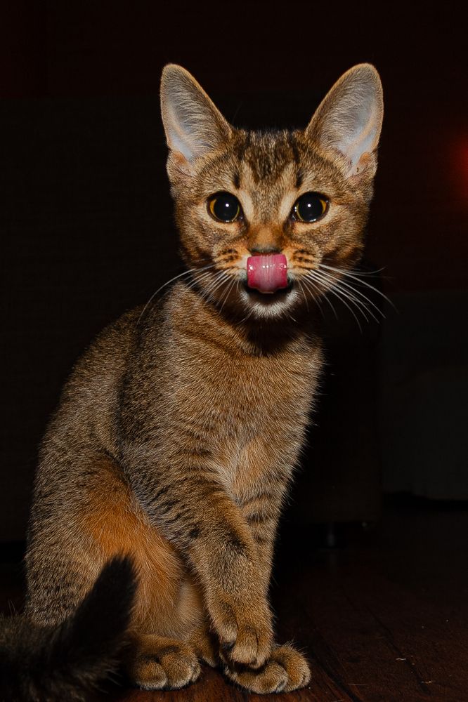 Фотография автора Наволокин Михаил