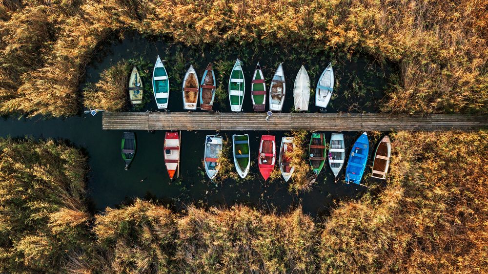 Фотография автора Rok Štirn