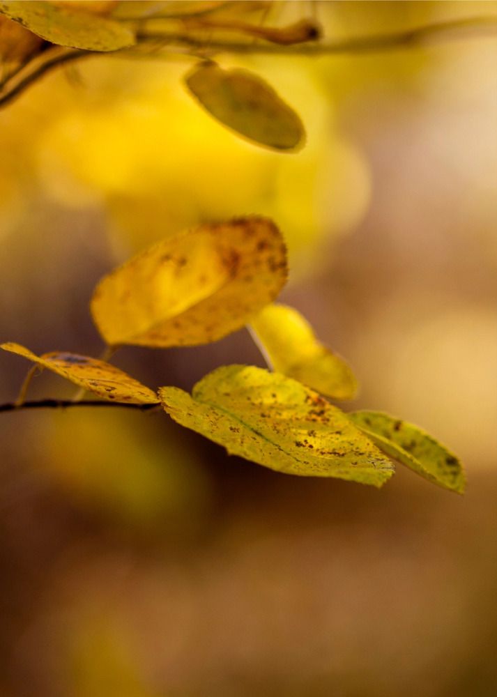 Photograph by Александра