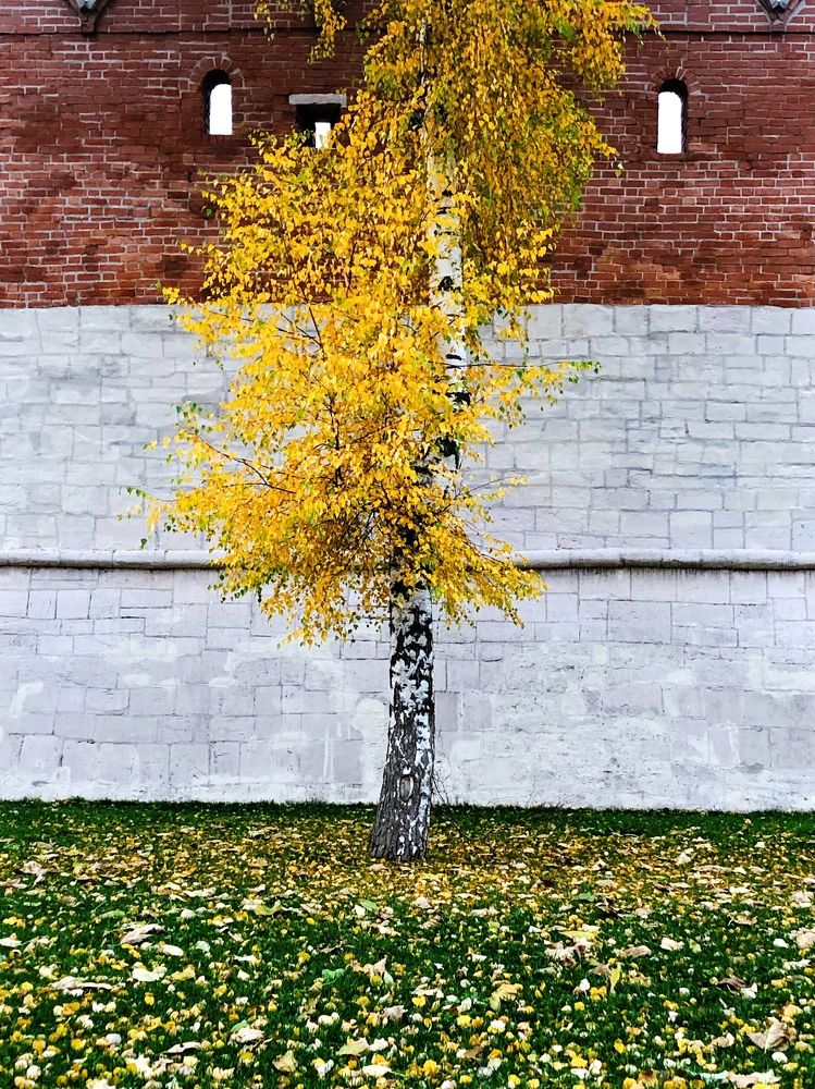 Photograph by Kaiser Sozo