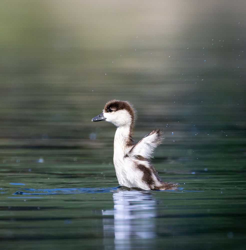 Photograph by Gevork Gukasyan