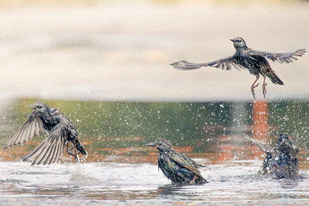 Photograph by Gevork Gukasyan