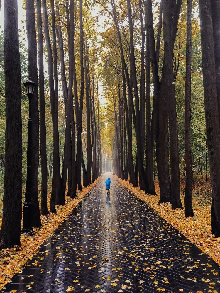 Photograph by Kaiser Sozo