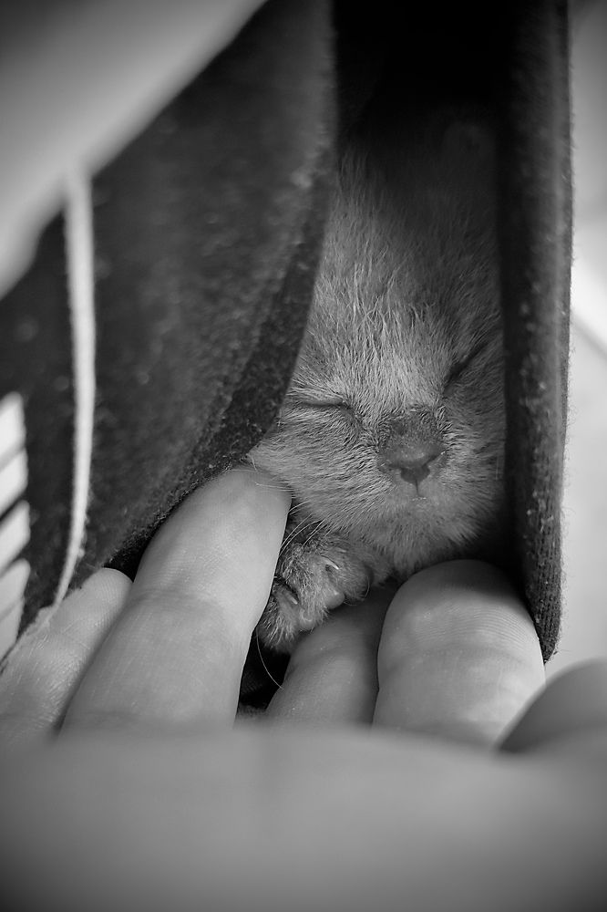 Фотография автора Олег Васильев