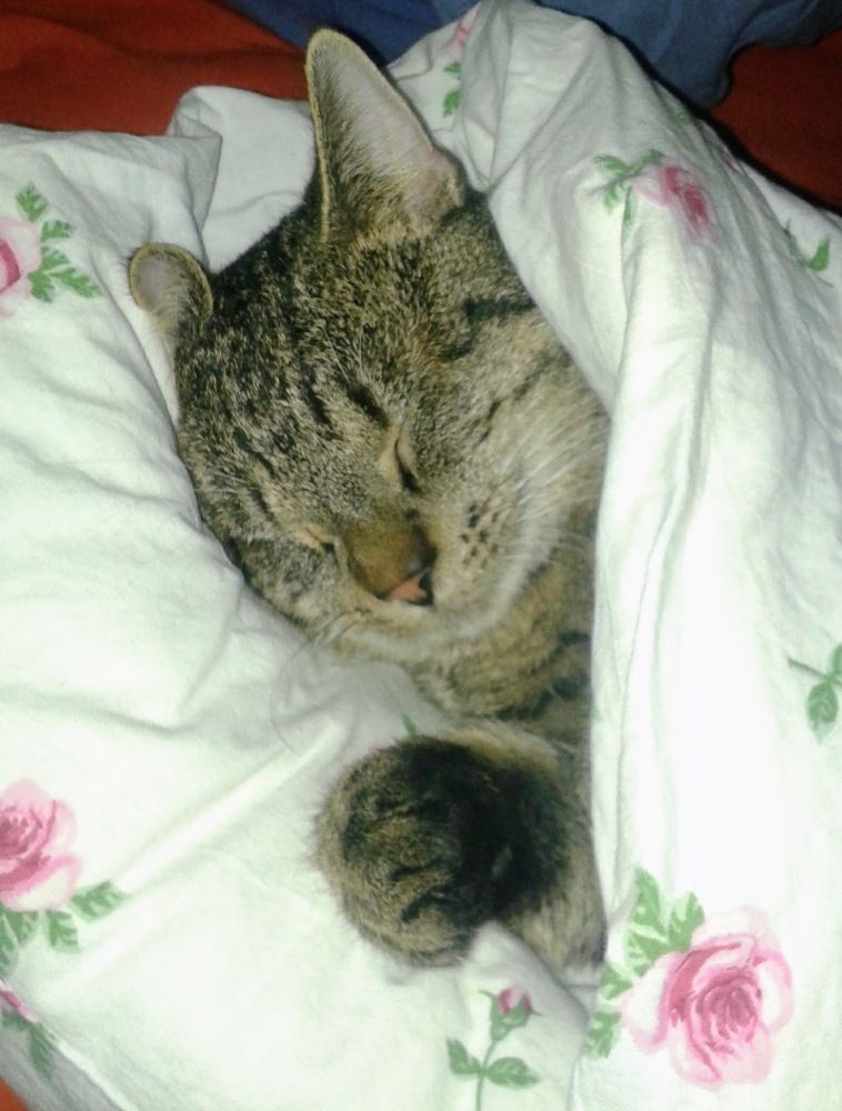 Photograph by Iris de Vos