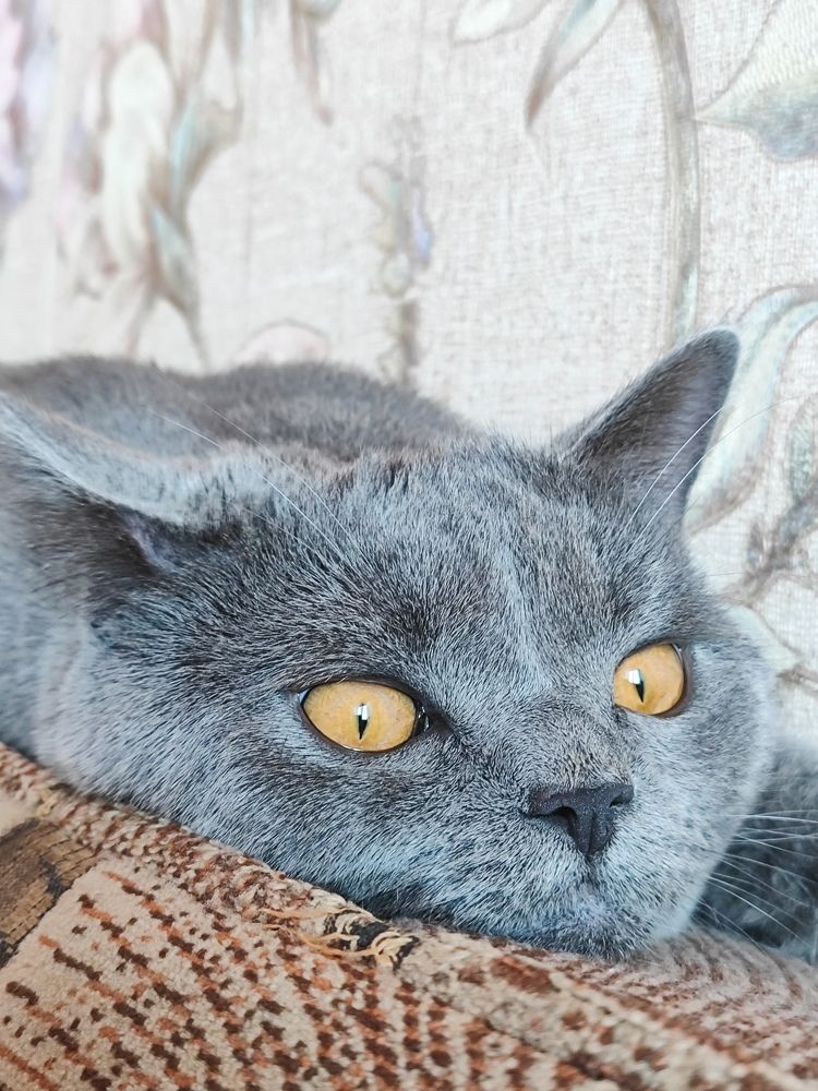 Photograph by Александра