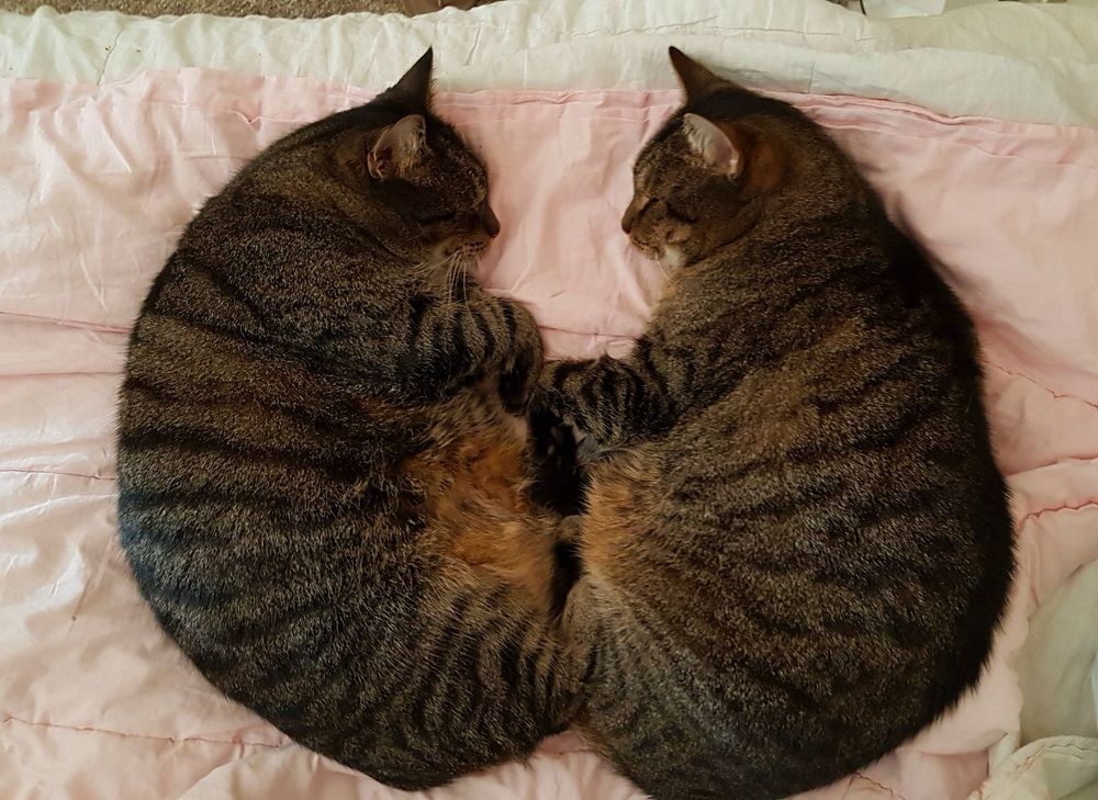 Photograph by Iris de Vos