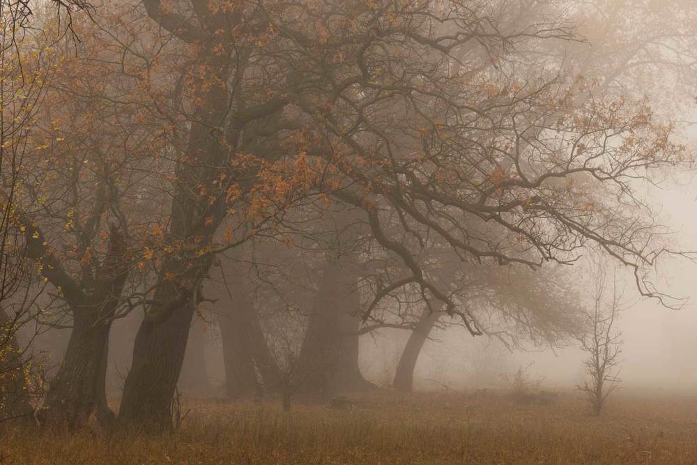 Фотография автора Игорь Баранов