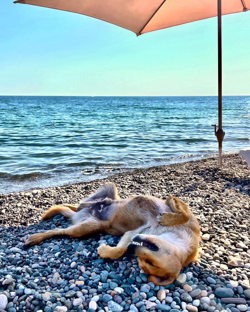 Photograph by Svetlana Rashidova