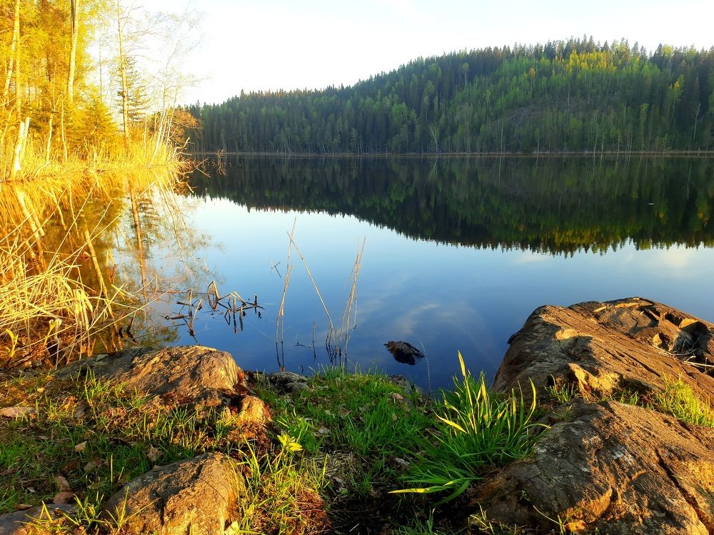 Photograph by Олег Менакер