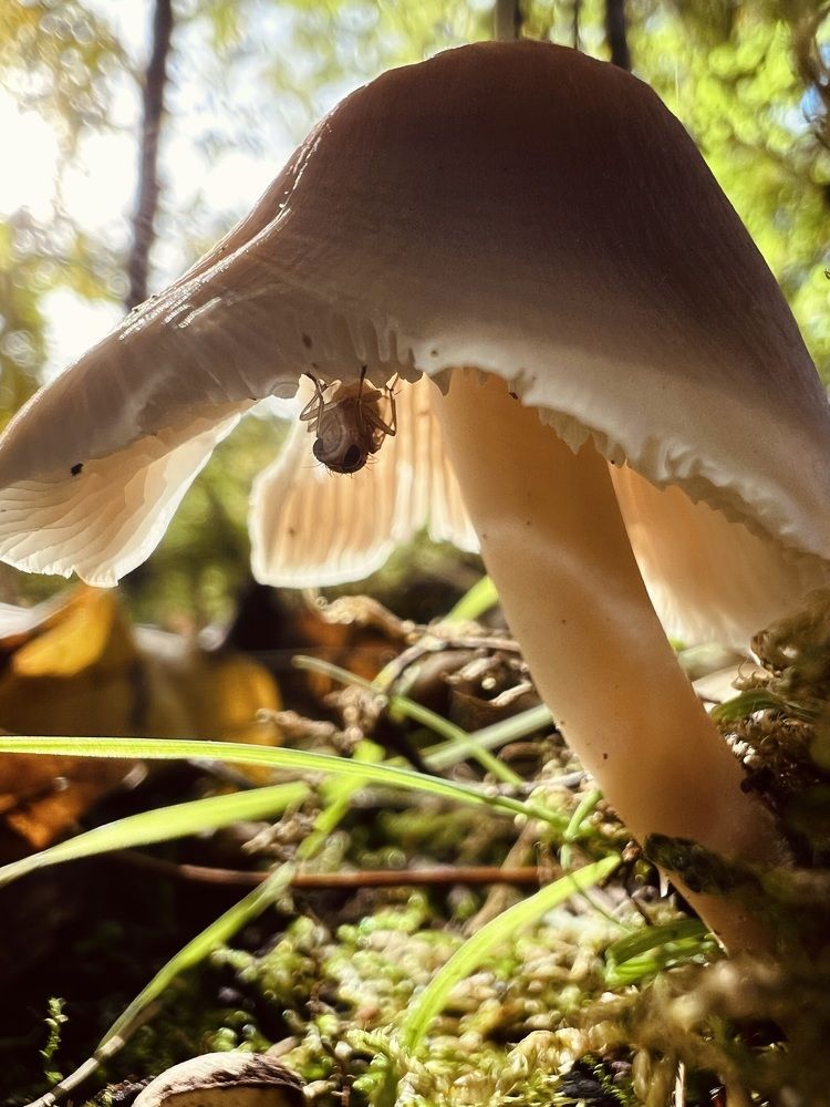 Photograph by Eugenia Schmidt