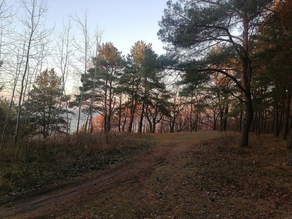 Photograph by Виктория Атласова