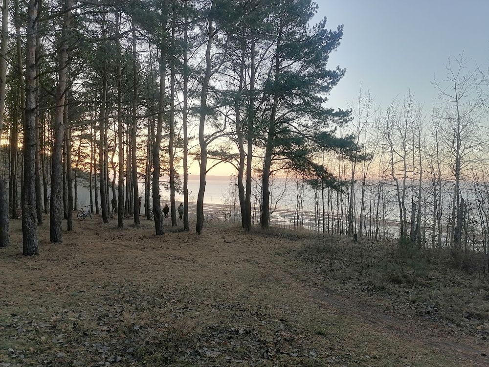 Photograph by Виктория Атласова