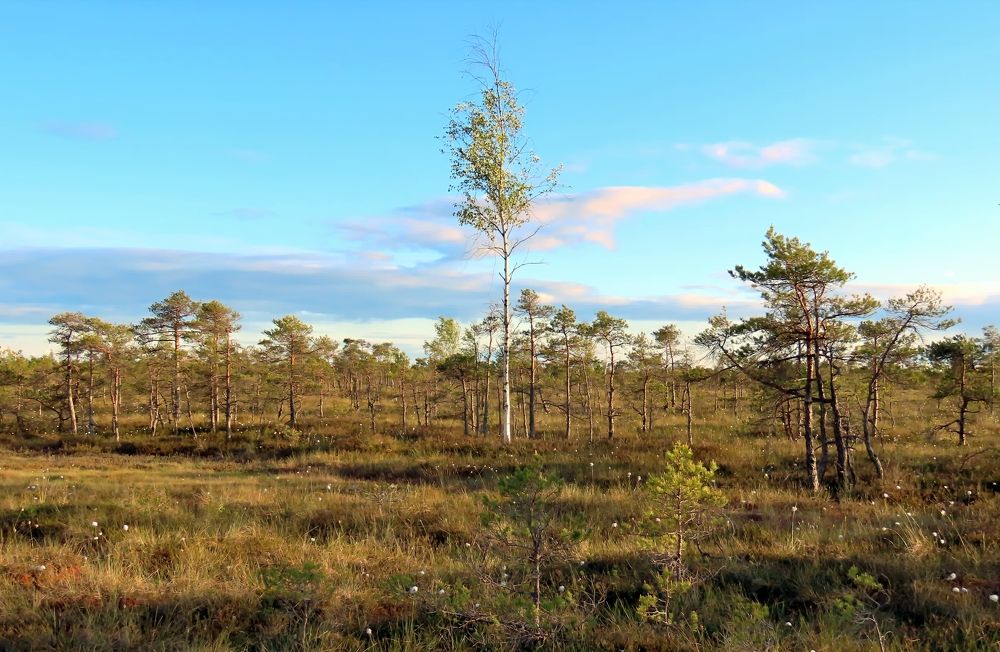 Photograph by Pjotr Alekseev